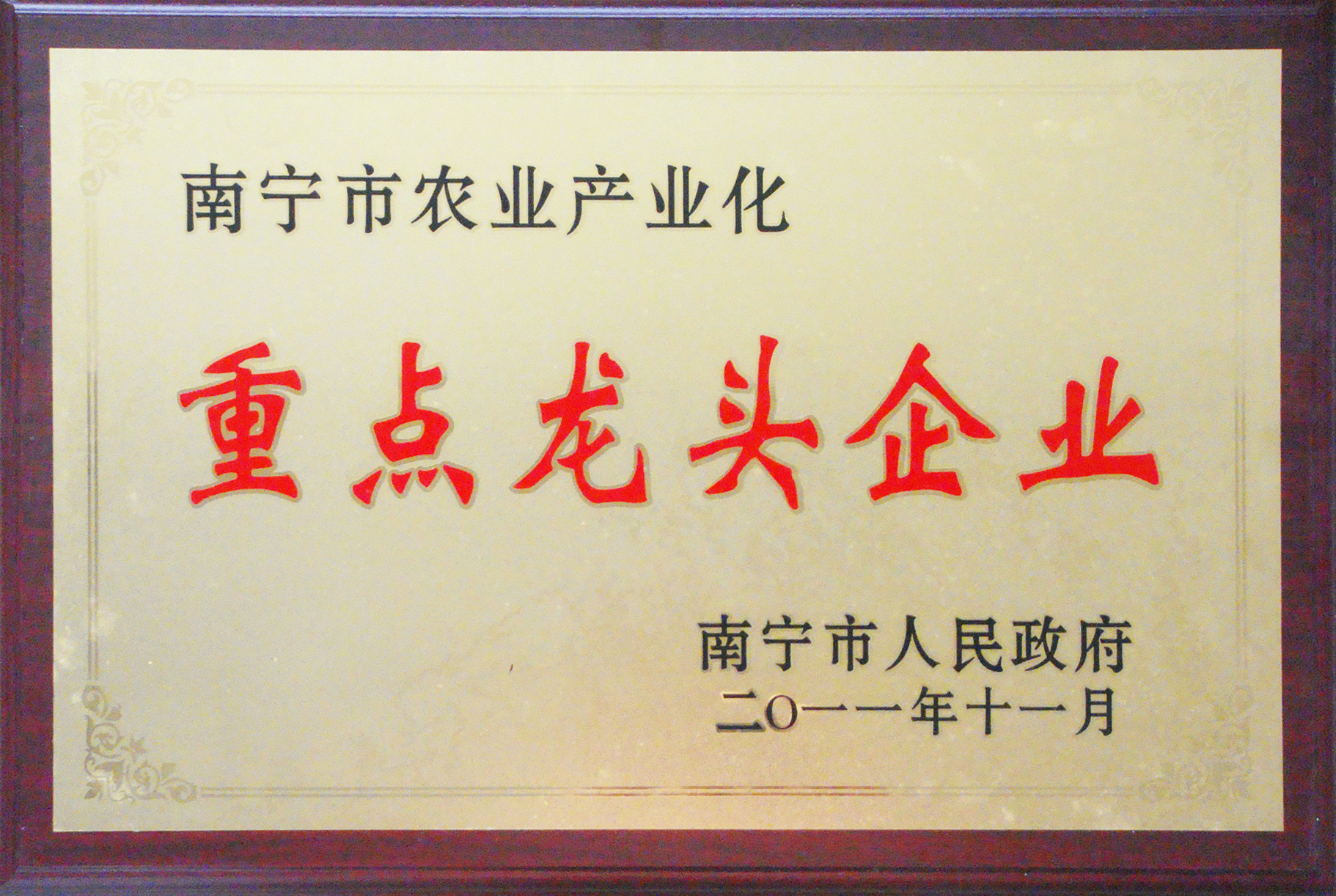 市重點(diǎn)龍頭企業(yè)